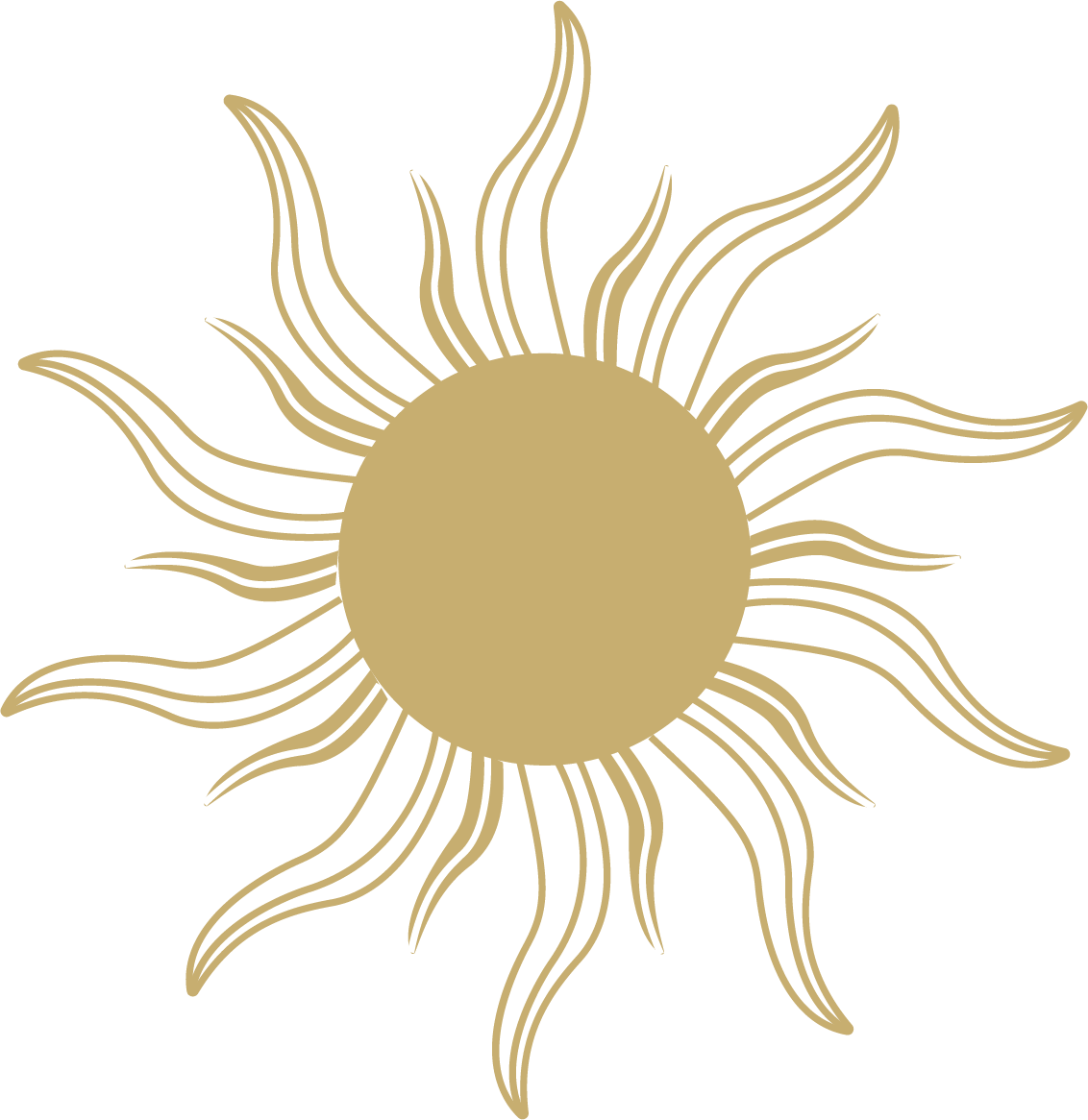 soleil vectoriel en icon